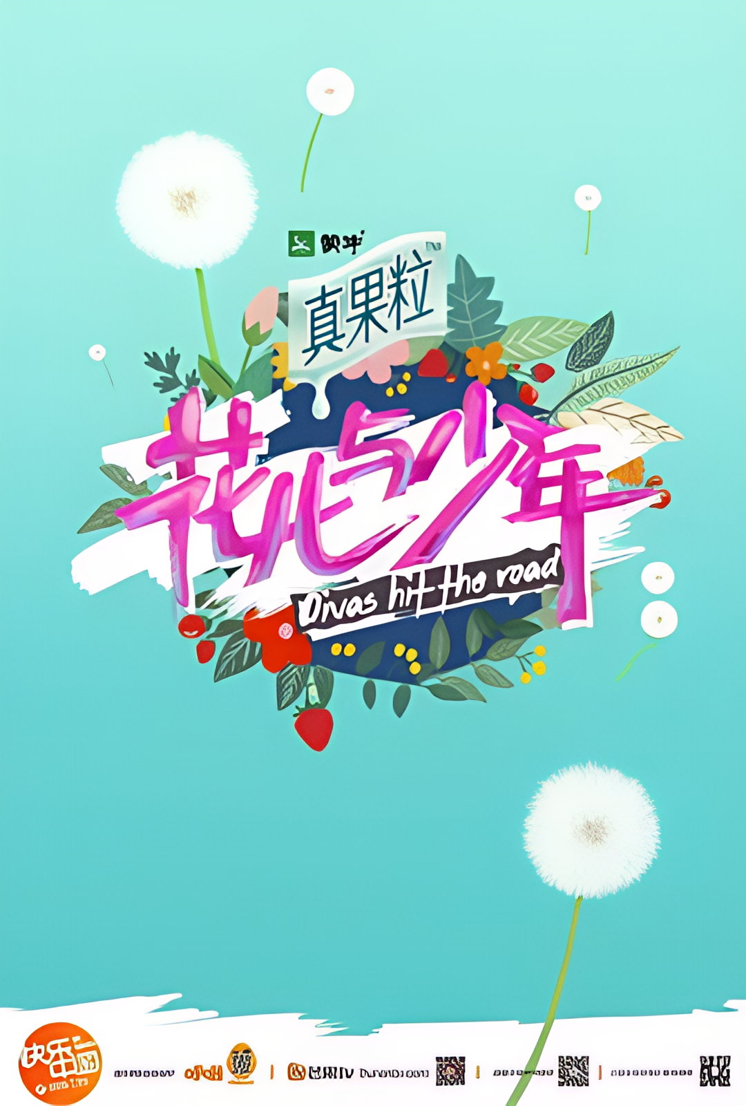 花儿与少年 第二季